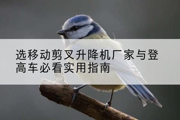 获嘉电动升降机厂家-选移动剪叉升降机厂家与登高车必看实用指南