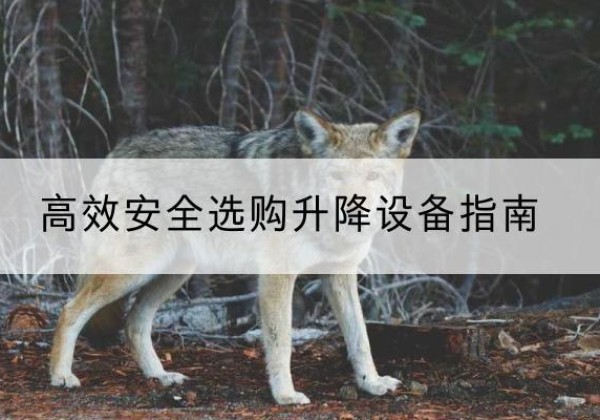 获嘉升降货梯厂家推荐-*安全选购升降设备指南