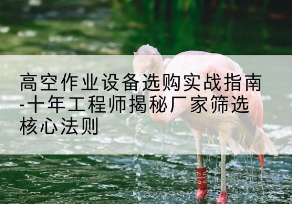 获嘉剪叉式升降机厂家-高空作业设备选购实战指南-十年工程师揭秘厂家筛选核心法则